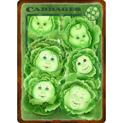 Cabbages