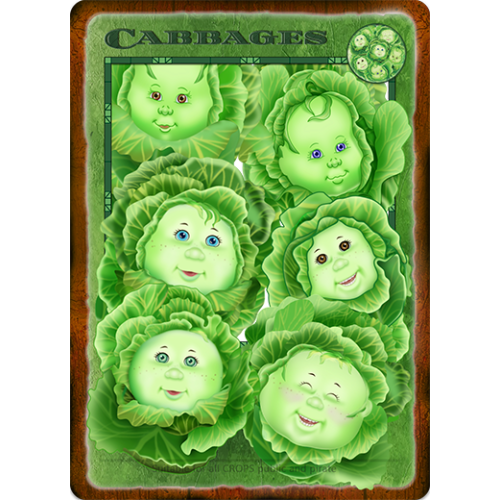 Cabbages