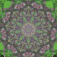 mindividual Mind Meld