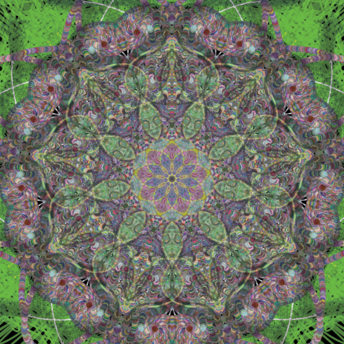 mindividual Mind Meld