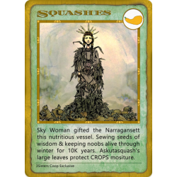 Squashes